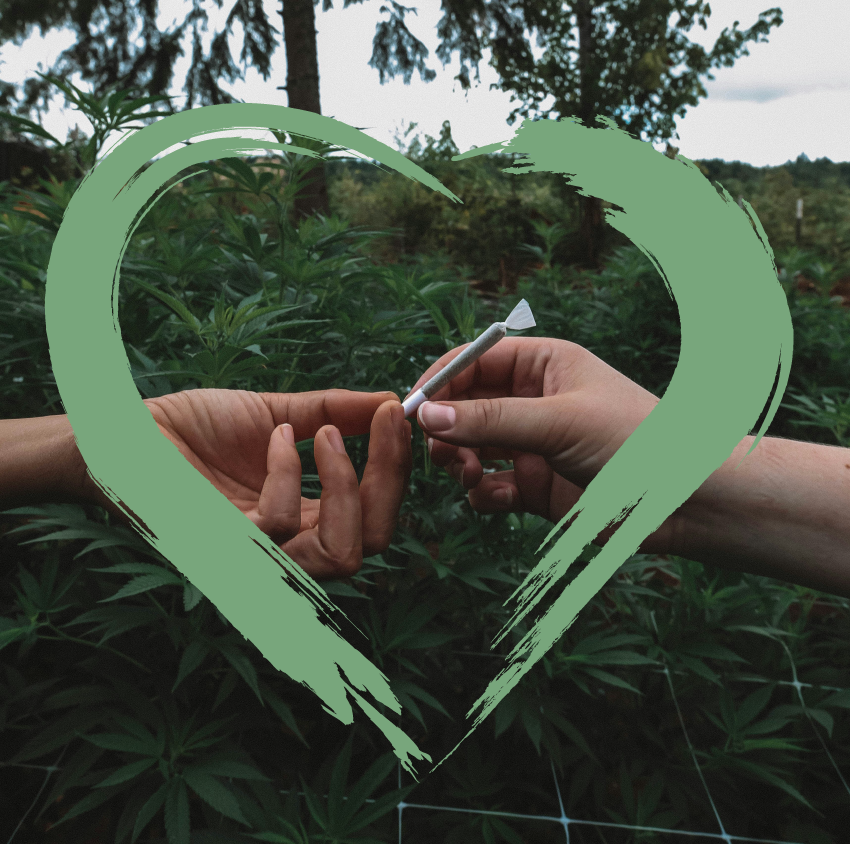 cannabis love
